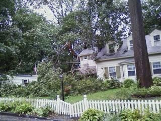 Tree on Overlook fell onto house.
(Caldwell)