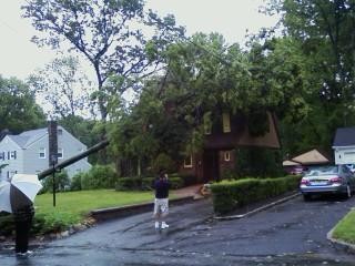 Wow...huge tree hits home in Cedars.
