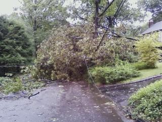 This tree is blocking the road on Bowers in Caldwell. No injuries reported.